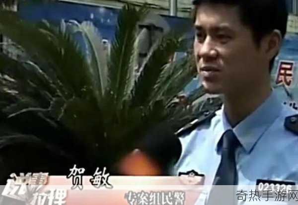 隐匿行动，潜行高手的终极挑战，智斗警卫与摄像头