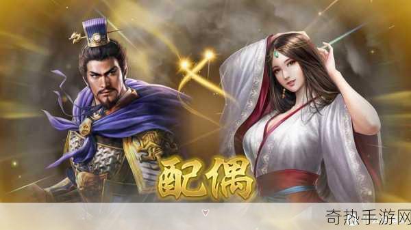 三国志8重制版Steam价格大揭秘及玩家必备问题解决方案