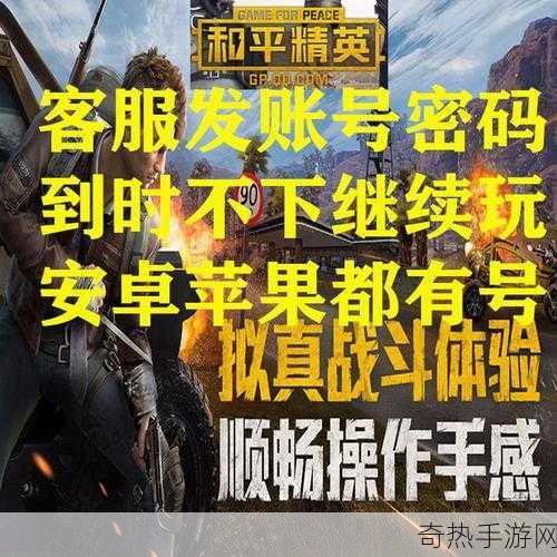 揭秘！和平精英土豪账号密码大公开，玩家必看攻略