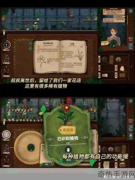 收纳我的猫，Steam平台上新，治愈系解谜新体验！