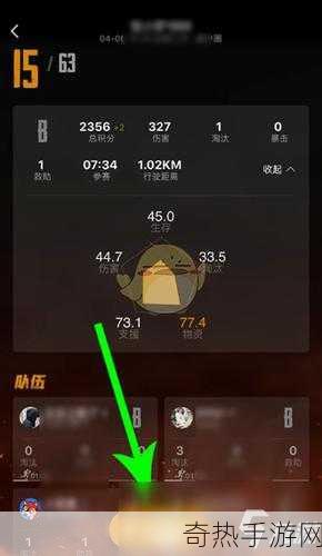 和平精英玩家如何查看游戏总时长，全面解析与指南之热门攻略