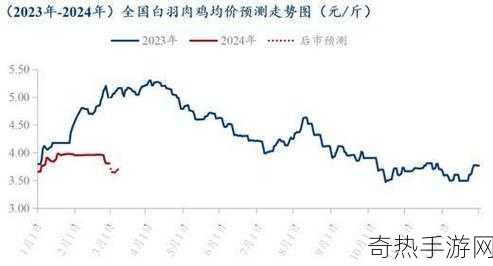 超级肉禽系统保安：拓展超级肉禽系统的安全保障 🔒