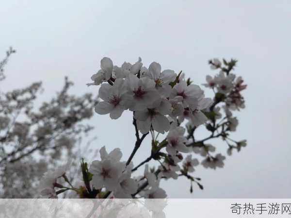 男人会亲你的小花园时代表什么：男人亲吻你的小花园：爱意的象征 🌸