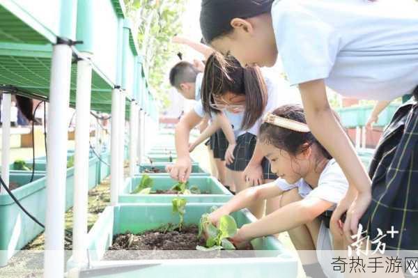 国产一产区二产区：国产一产区二产区新探索 🌱