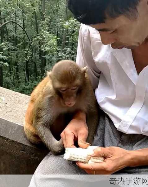 二人一起生猴子全程不盖被子：一起享受无被子的甜蜜时光🐒