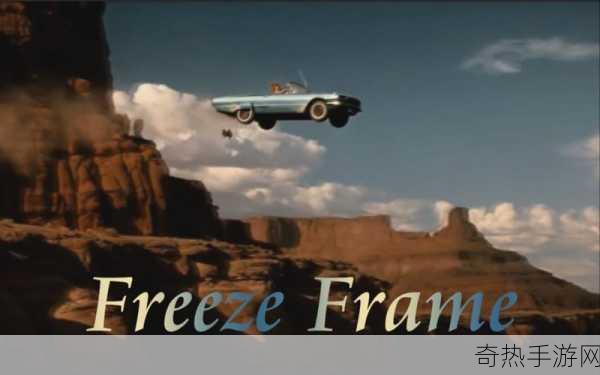 解密FREEZEFRAME丰满寡妇：FREEZEFRAME：丰满寡妇的秘密揭示 🔍