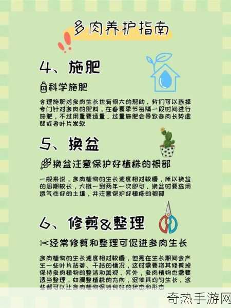 皇家共享小公主多肉养护技巧：🌱 皇家共享小公主多肉养护全攻略