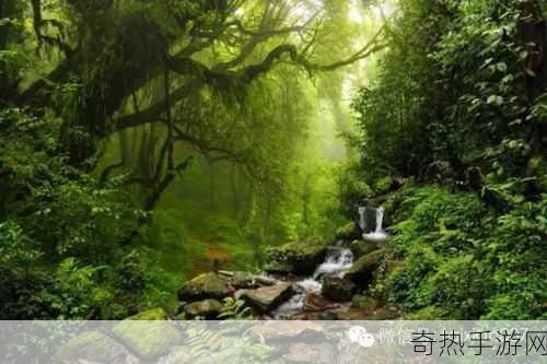 两峰夹小溪地湿又无泥诗小说：湿地幽径小溪流🌿