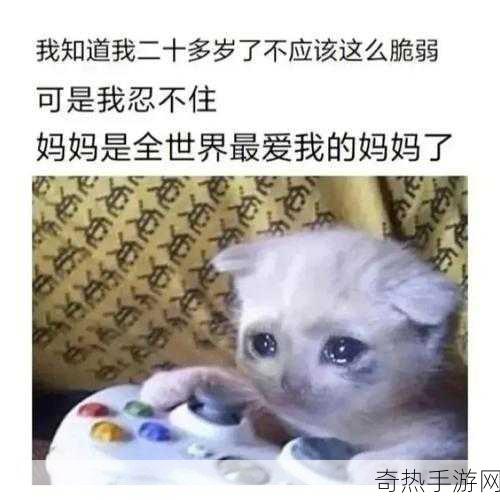 妈妈没拒绝也没同意-妈妈的犹豫：未拒绝也未同意的心情挣扎