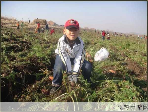 床上拔萝卜不盖被子的好处-床上拔萝卜不盖被子的意外好处解析