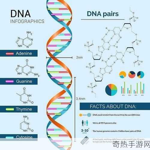 母亲dna和儿子dna一样不-母亲与儿子DNA相似性探讨及其意义