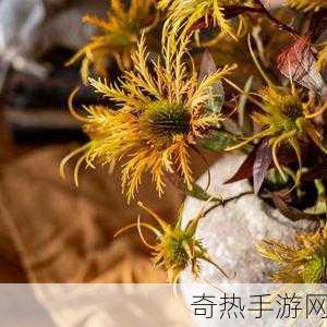 双阳插花芯-双阳插花芯的艺术与技巧探讨