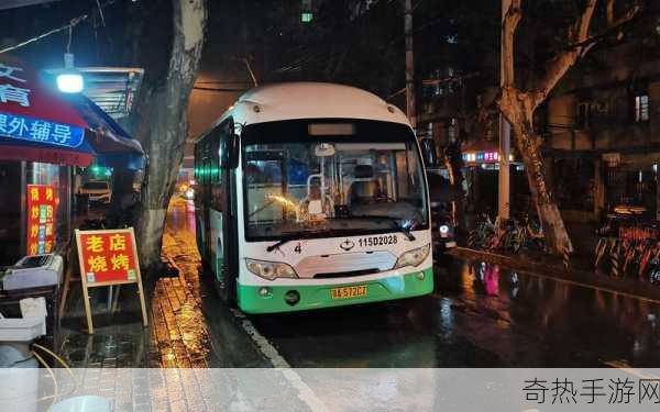 赵丽雅公交车回家的故事-雨夜公交，赵丽雅的温暖归途故事