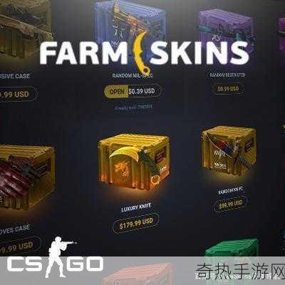 FARMSKINS进不去-无法访问FARMSKINS网站的解决办法与建议