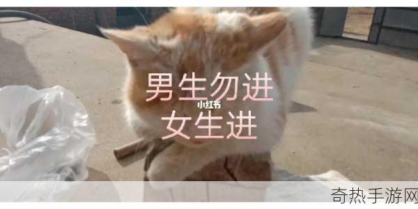 女生和男生一起努力生猴子-携手共创美好未来，女生男生齐努力