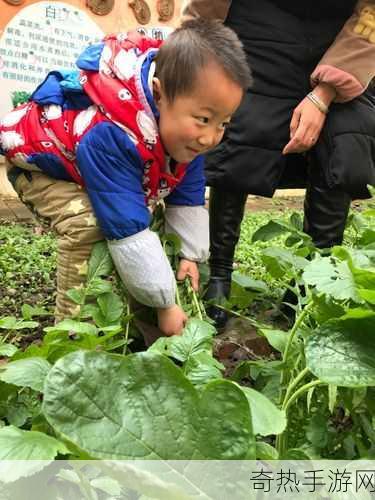 拔萝卜痛又叫黄-拔萝卜的痛楚与喜悦：黄为新探讨