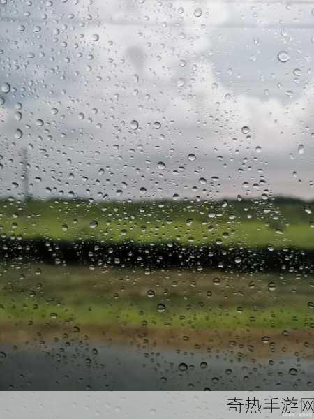 下面湿漉漉的像是刚下过雨-雨后清新，湿漉漉的世界如梦似幻