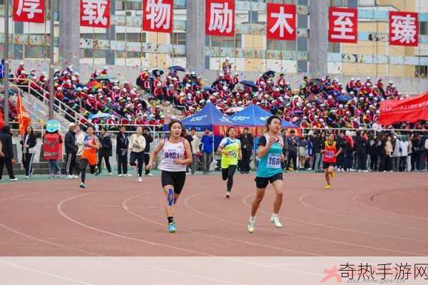 校园运动会-校园运动会：青春奋发，团结拼搏的盛典