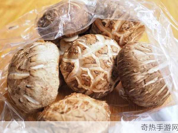 蘑菇黑料爆料-深入揭秘蘑菇黑料背后的真相与影响