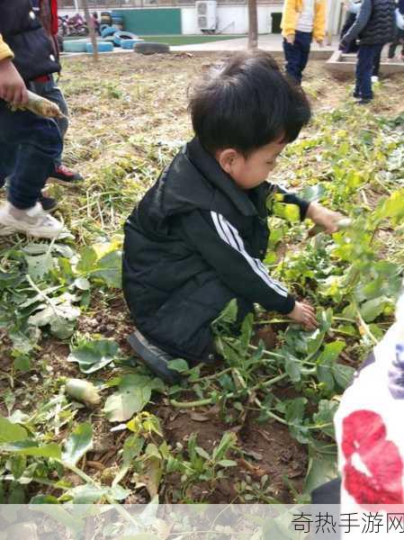 拔萝卜全程不盖被子拔萝卜-拔萝卜不盖被子，感受田园乐趣的全程体验