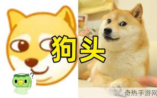 手游圈热议，Doge表情包萌宠原型病危，玩家共祈愿！