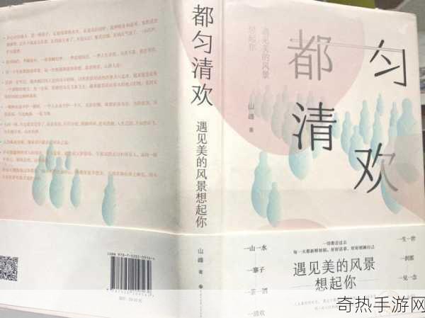 授课方式by清欢-创新教学方式：清欢方法的全新探索与实践