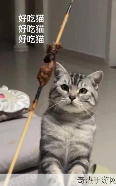 种子猫-探索种子猫的魅力与养护技巧