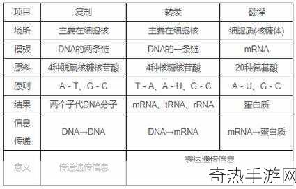 母亲的DNA和儿子的DNA是一样的吗-母亲与儿子DNA的相似性及其影响探讨