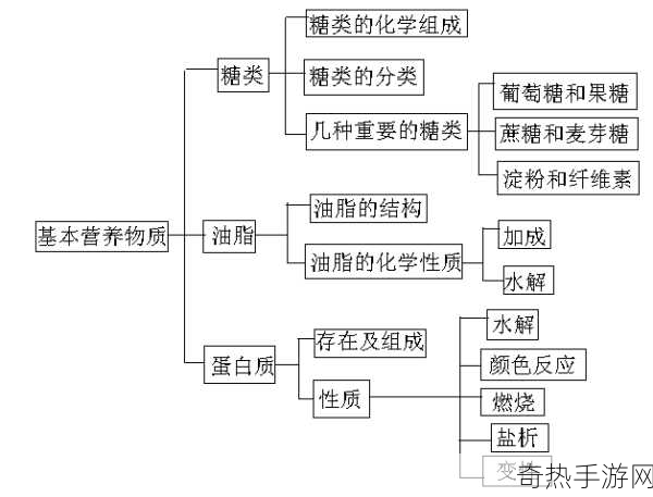 探索精二和精三的区别-精二与精三的区别及其应用探讨分析