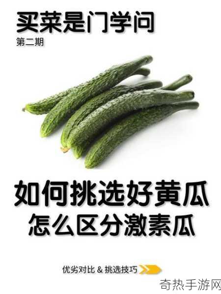 51好瓜[“探索51好瓜的独特魅力与多样美味”]