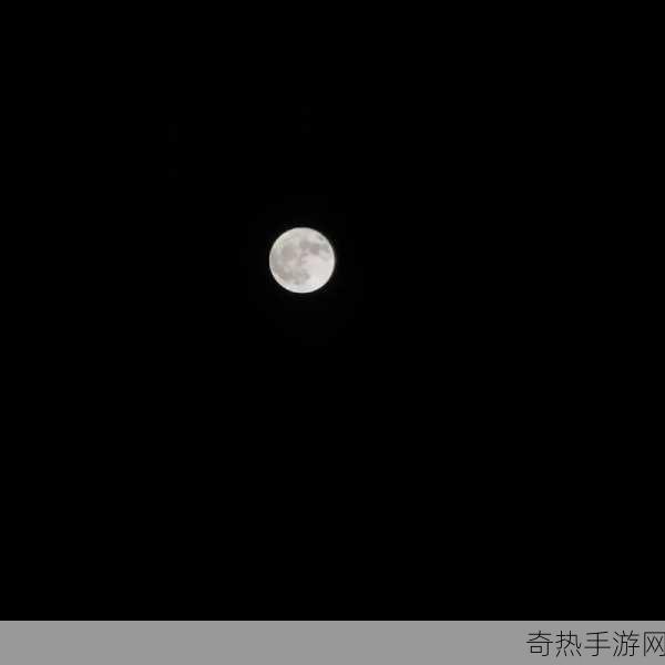 久久综合午夜久久潘金莲[潘金莲的夜幕低垂：欲望与挣扎交织的故事]