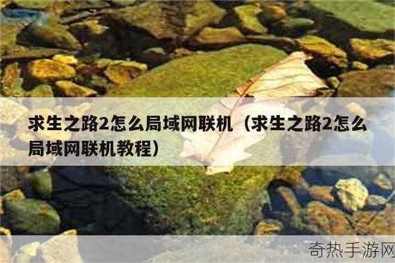 求生之路局域网联机教程[详解求生之路局域网联机设置与玩法指南]