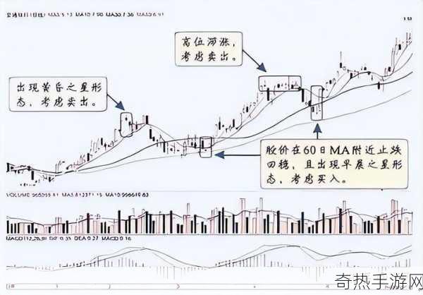 幽谷花径内的阻力突然减小[幽谷花径内阻力骤减的玄机与启示]