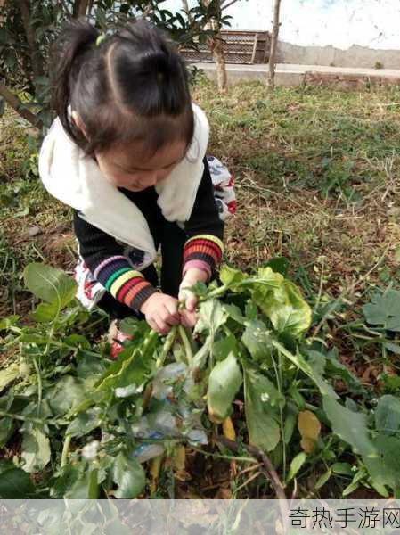 男女在床上拔萝卜[男女在床上共同拔萝卜的趣味探索与情感交流]