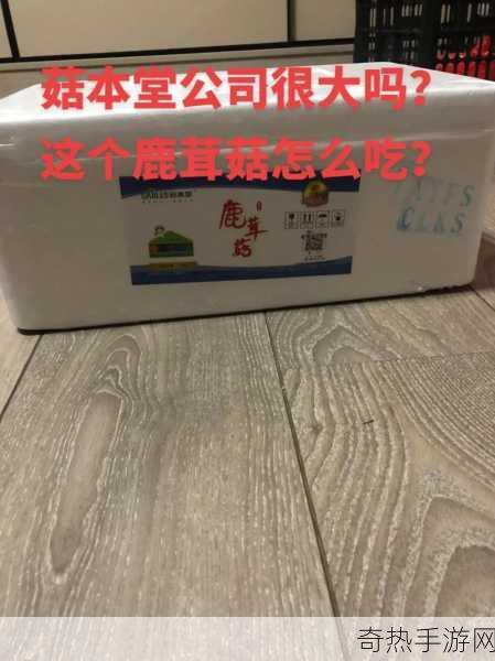 精产国蘑菇品一二三产品区[拓展精产国蘑菇品类，提升一二三产品市场竞争力]