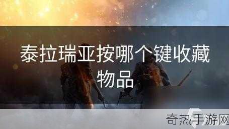 泰拉瑞亚背包锁定按哪个键，游戏达人必知的操作秘籍