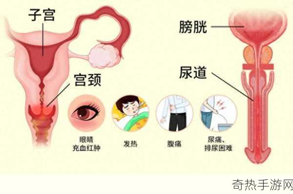 果冻男女性生活传媒[拓展果冻男女性生活传媒，探索多元情感与文化交融]