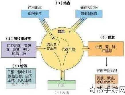 药效1v2h[全面提升药效：一对二的创新策略探索]