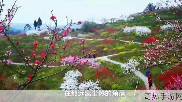 桃花岛cm7[桃花岛新篇：探秘CM7的奇幻之旅]