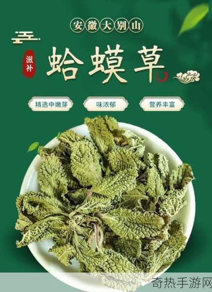 嫩草亚洲w和欧洲w的区别[嫩草亚洲和欧洲的主要差异分析与比较]