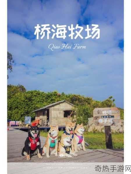 人or猪or狗302牧场[探索与拓展：猪、狗与302牧场的奇妙旅程]