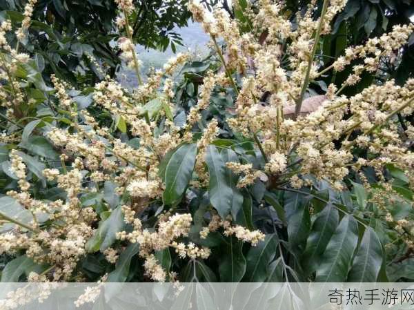 他的舌头探进蜜源毛毛虫说[探寻蜜源的毛毛虫：舌头伸展的新冒险]