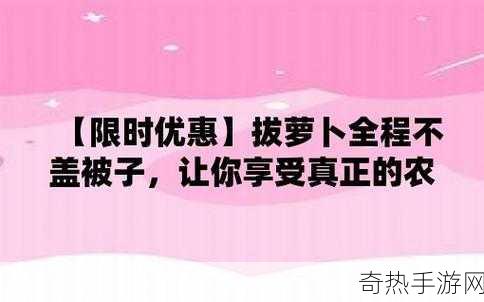 100款拔萝卜打扑克不盖被子[当然可以，以下是一些新的标题建议：]