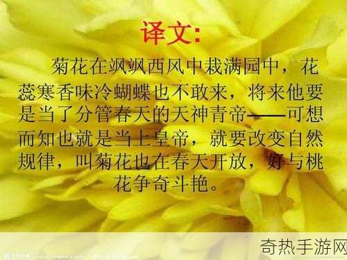 答错一题菊花放一支笔五条悟[错题连锁反应：菊花与笔的奇妙联系]