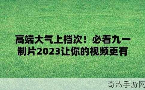 九一视频传媒[拓展九一视频传媒：打造全新视听体验与创新内容平台]