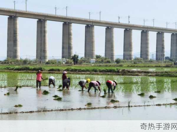 夫妻之间三十中插秧方法[夫妻默契配合的三十种插秧技巧与心得分享]